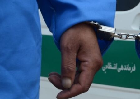 سارق حرفه‌ای خانه‌باغ‌ها در مریوان دستگیر شد