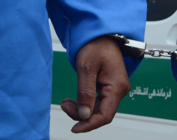 سارق حرفهای خانهباغها در مریوان دستگیر شد