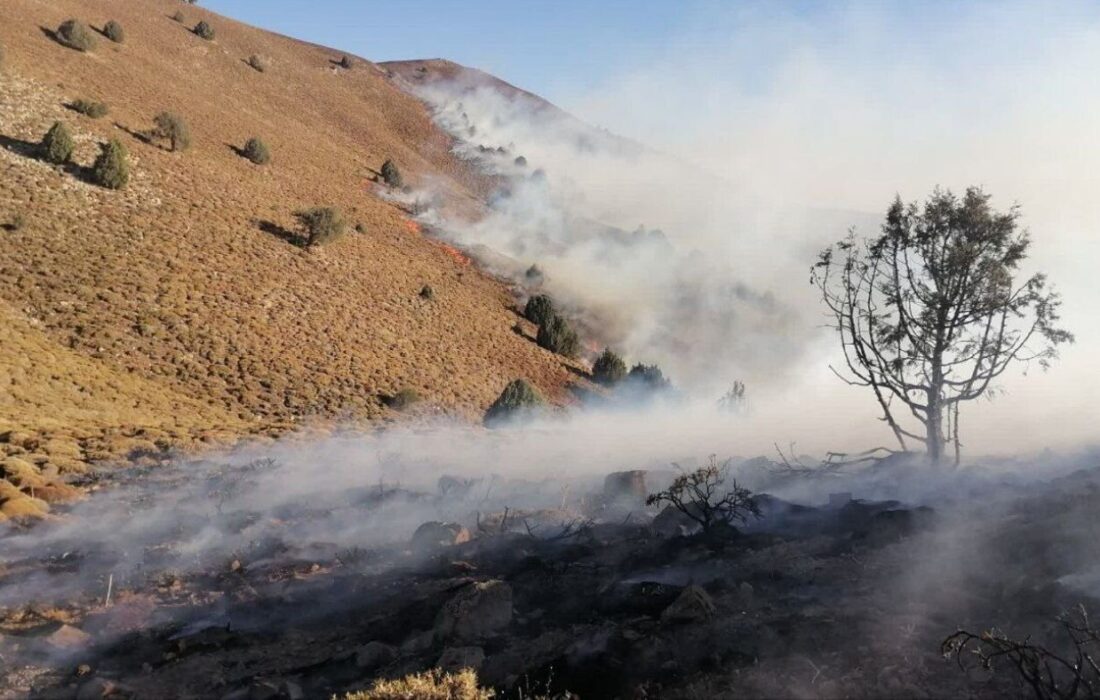 علوفههای هشت میلیارد ریالی سلطانیه در آتش سوخت