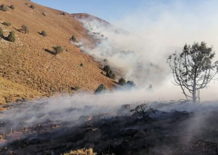 علوفه‌های هشت میلیارد ریالی سلطانیه در آتش سوخت