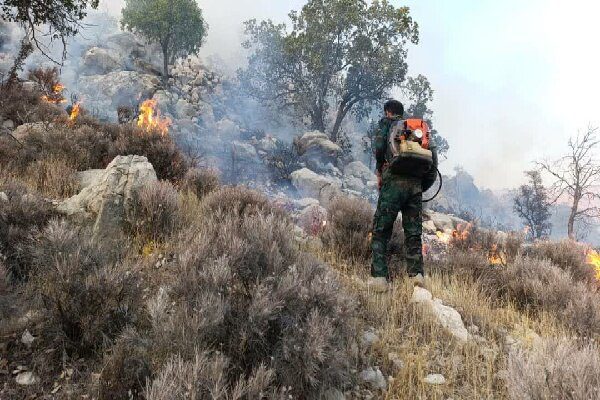 آتشسوزی در جنگلهای «گاچال سۆەرگری»ایوان مهار شد