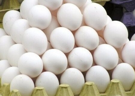 زیان‌دهی ۶ ماهه صنعت تخم‌مرغ در خراسان رضوی