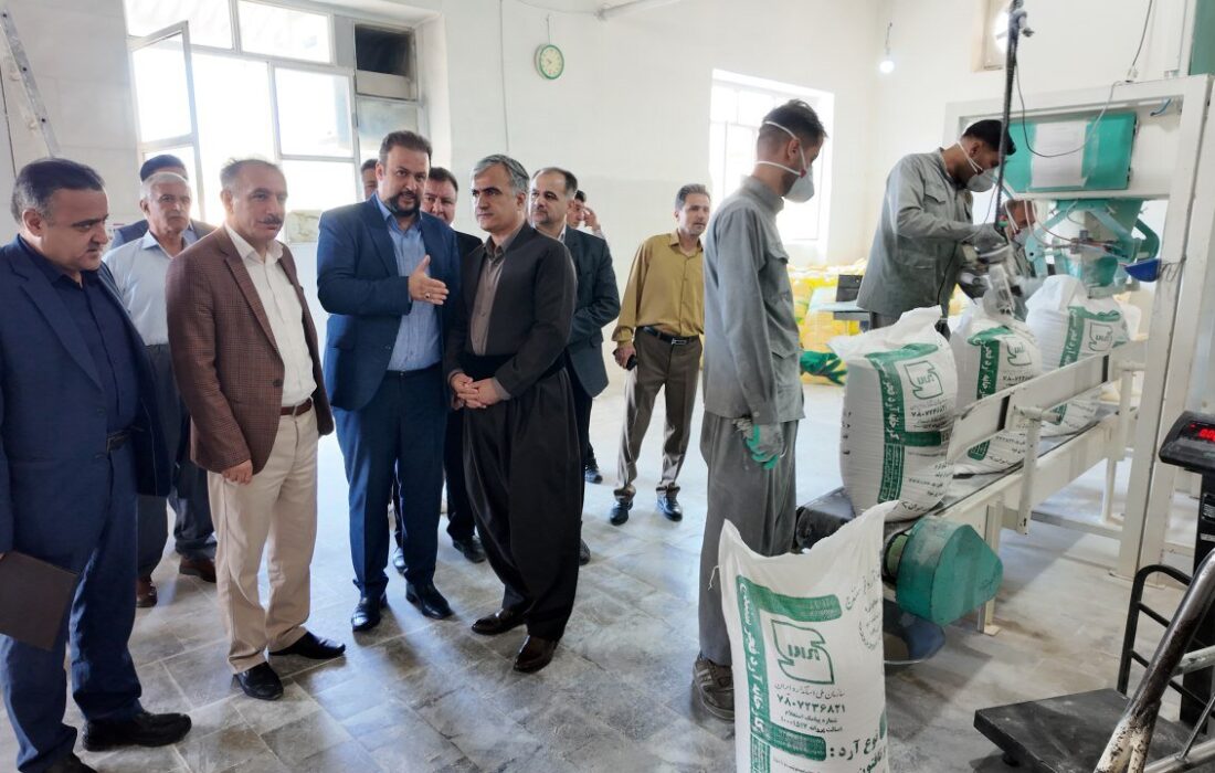 تقویت تعاونی‌ها عامل توسعه پایدار شهرستان سنندج است