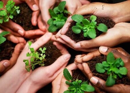 تقویت نقش مبلغین مذهبی در حفاظت از محیط زیست یزد