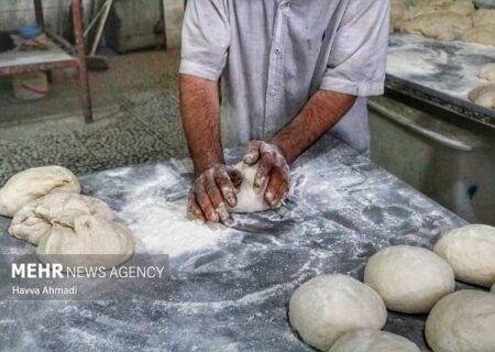 ۲۰ تا ۲۵ درصد نان کشور تبدیل به ضایعات می‌شود