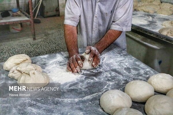 ۲۰ تا ۲۵ درصد نان کشور تبدیل به ضایعات میشود