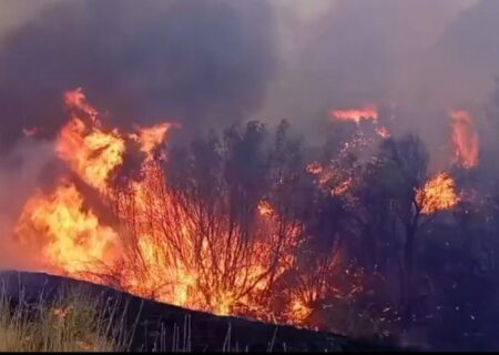 حریق گسترده در اراضی ککلیک‌آباد پس از ۷ ساعت مهار شد
