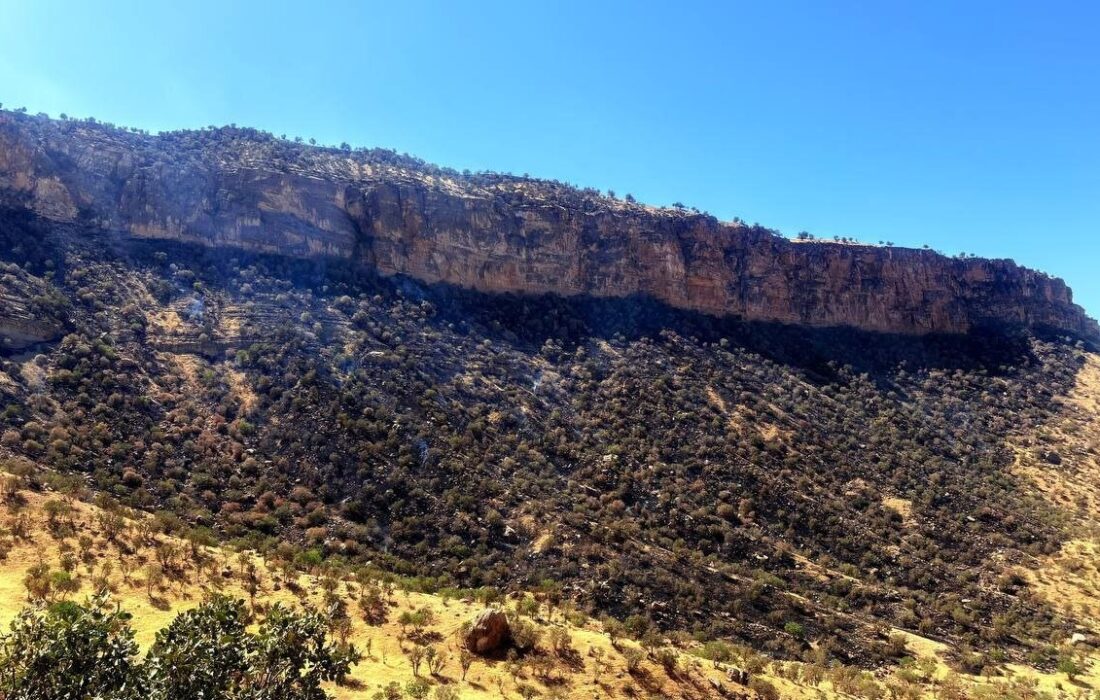 آتشسوزی «سۆەرگری و تنگه کوشک ایوان» اطفاء شد