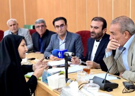 بررسی مشکلات ۱۵ کهگیلویه و بویراحمدی در دیدار با استاندار