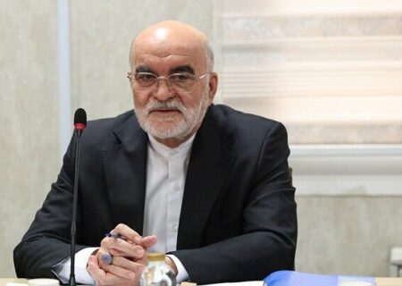 گزارشگر ویژه سازمان ملل با دبیر ستاد حقوق بشر دیدار کرد