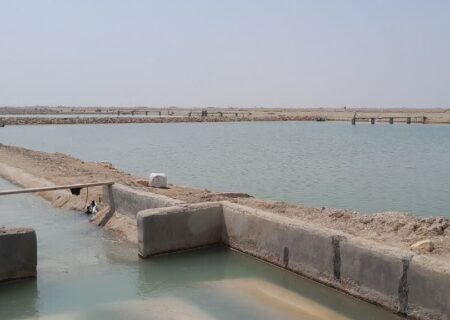 نظارت بر طرح‌های پرورش میگو در اراضی واگذار شده بوشهر