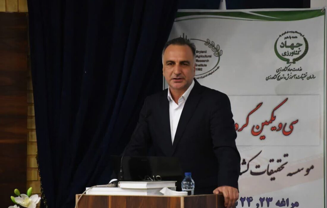 برداشت ۸ میلیون تن محصول از ۶ میلیون هکتار اراضی دیم کشور در سال گذشته