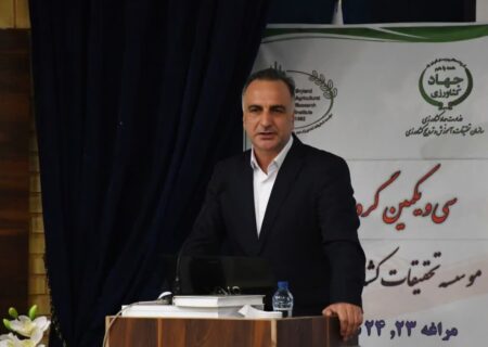 برداشت ۸ میلیون تن محصول از ۶ میلیون هکتار اراضی دیم کشور در سال گذشته