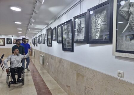 هنرمند معلول سیرجانی آثار نقاشی خود را به نمایش گذاشت