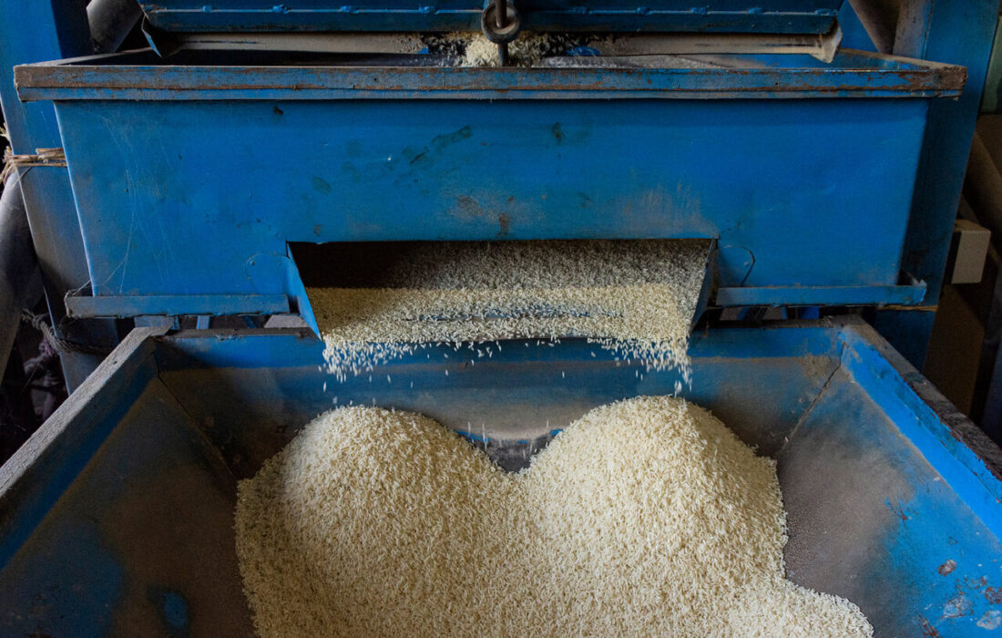 گیلان پیشتاز در مکانیزاسیون؛ تولید شلتوک برنج ۵ درصد افزایش یافت