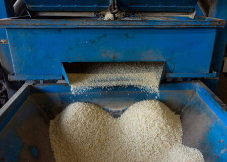 گیلان پیشتاز در مکانیزاسیون؛ تولید شلتوک برنج ۵ درصد افزایش یافت