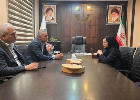 فرماندار گناوه: نگاه ویژه‌ای به بانوان داریم