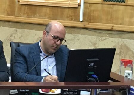 آیین‌نامه اجرایی انتخابات شوراها باید دقیق و جزئی تدوین شود