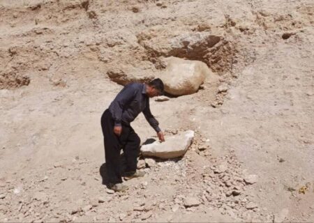 لیلا آژیر مدیرکل دفتر امور بانوان و خانواده استانداری کردستان شد