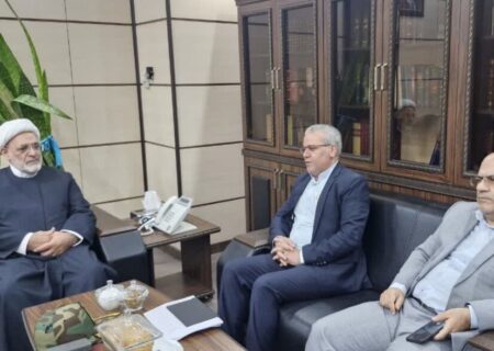 اولویت‌بندی دستگاه قضایی سمنان در برخورد با زمین‌خواری و قاچاق چوب