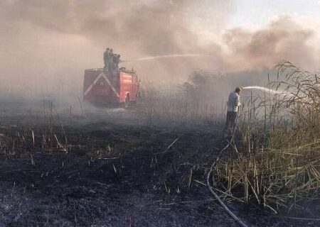 آتش تالاب شورگل حسنلو پیش از گسترش مهار شد