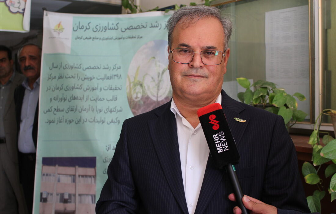 الگوی کشت جدید به کشاورزان کرمان ابلاغ شد؛ عدم تکرار مشکلات پیازکاران