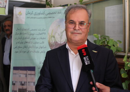 الگوی کشت جدید به کشاورزان کرمان ابلاغ شد؛ عدم تکرار مشکلات پیازکاران