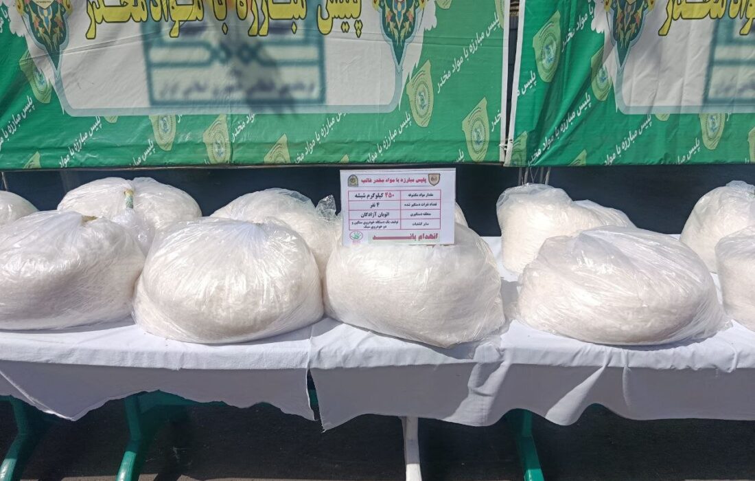 کشف و ضبط 4 کیلوگرم مواد مخدر صنعتی در همدان و دستگیری یک قاچاقچی