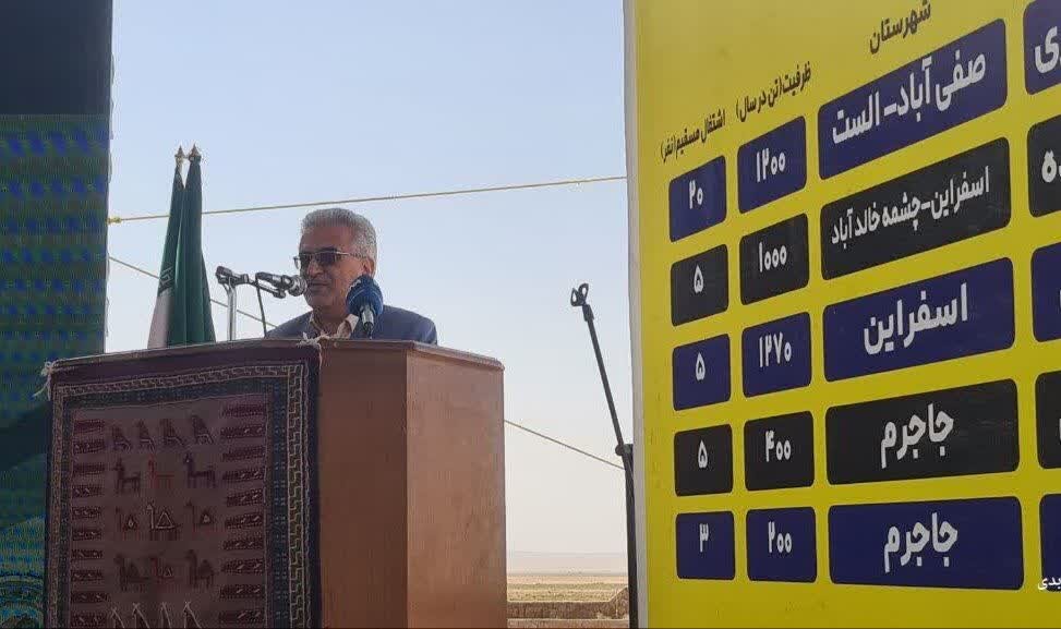 جشنواره پسته «بام و صفیآباد» پل ارتباطی تولیدکننده و بازار است