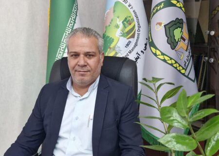 ۷میلیون نهال در استان سمنان کاشته شد