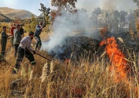 شعله ها، مراتع دلفارد جیرفت را خاکستر می کنند؛ نبود ایستگاه آتش نشانی