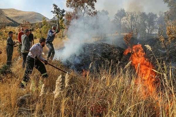 شعله ها، مراتع دلفارد جیرفت را خاکستر می کنند؛ نبود ایستگاه آتش نشانی