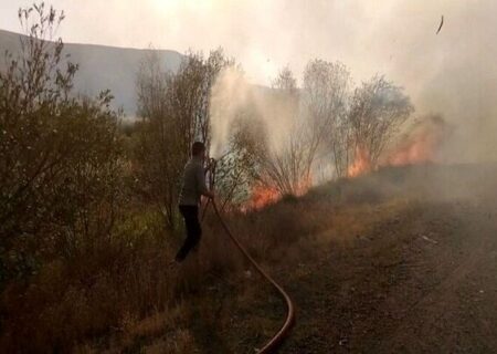 مهار آتش‌سوزی ۲۰ هکتاری در پارک ملی لار توسط محیط‌بانان