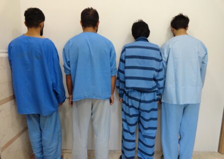 محمودی: پایان شرارت اراذل و اوباش در پارس آباد