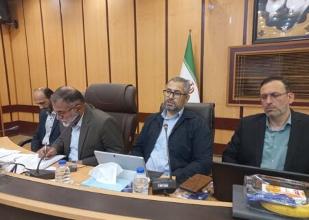 صالحی: مسیر بازسازی عتبات عالیات به برکت خون شهدا ادامه دارد