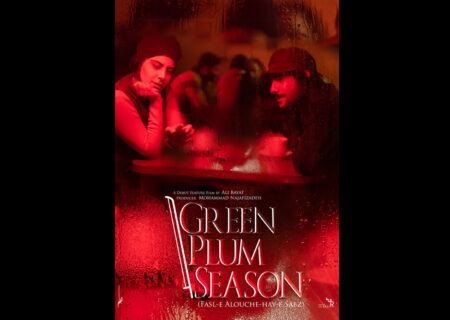 «فصل آلوچه‌های سبز» از آمریکا جایزه گرفت