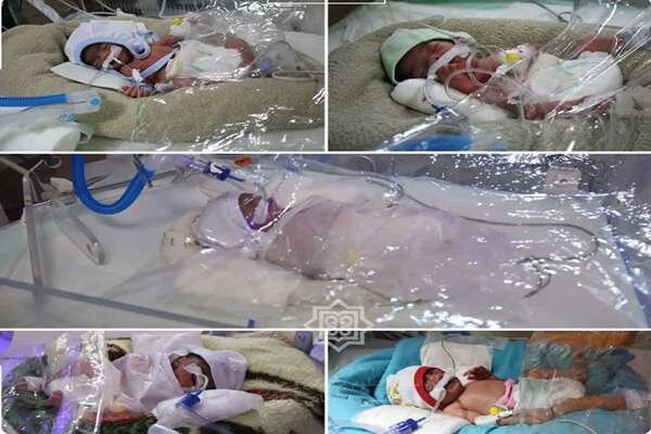 پنج قلوها درآغوش مادر کرمانی آرام گرفتند؛ از زایمان تا مراقبت‌های ویژه