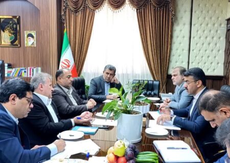 پوریانی: پیشگیری از ساخت و سازهای غیرمجاز نیازمند رویکرد جامع است