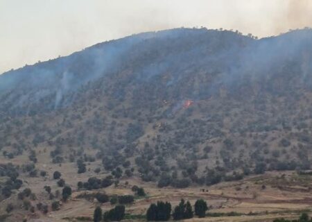 فعالیت 20 پاسگاه برای حفاظت از منابع طبیعی در ایلام به گفته وطنی