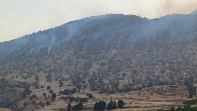 فعالیت 20 پاسگاه برای حفاظت از منابع طبیعی در ایلام به گفته وطنی