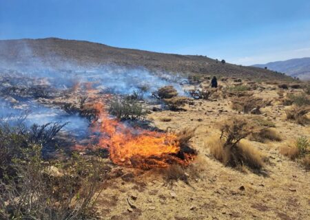 مهار آتش‌سوزی در منطقه حفاظت شده هلن