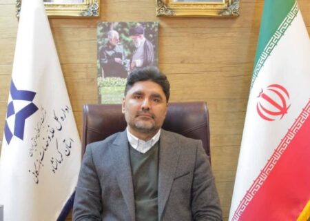 کرمانشاه، جزو ۱۰ استان برتر کشور از نظر کیفیت آرد