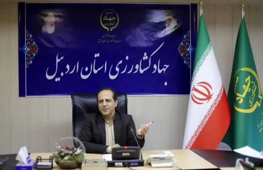 رشد ۱۵ درصدی تولید گوشت مرغ در استان اردبیل