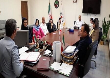 عذرخواهی دختران تکواندوکار جنجالی؛ ساعی: فدراسیون نگاهی پدرانه دارد