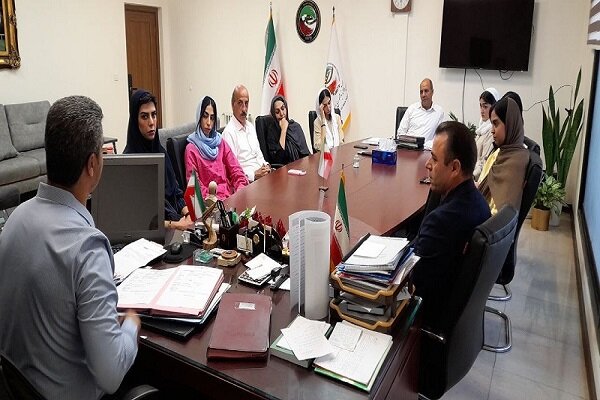 عذرخواهی دختران تکواندوکار جنجالی؛ ساعی: فدراسیون نگاهی پدرانه دارد