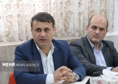 فتح‌اللهی: ترحم به مبتلایان اتیسم، رویکردی نادرست است