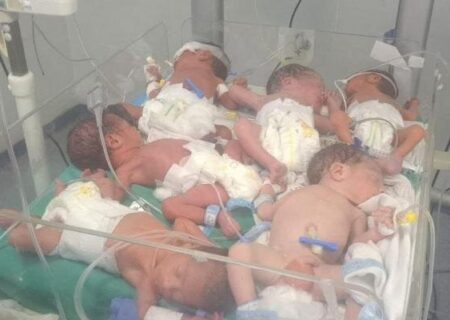 ۱۲ نوزاد غزه ای در بحران مرگ و زندگی؛ بیمارستان شفا زیر آتش حملات اسرائیل