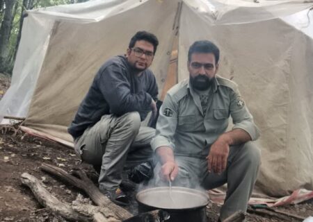 آغاز آوای جفت‌گیری مرال‌ها در جنگل ابر شاهرود