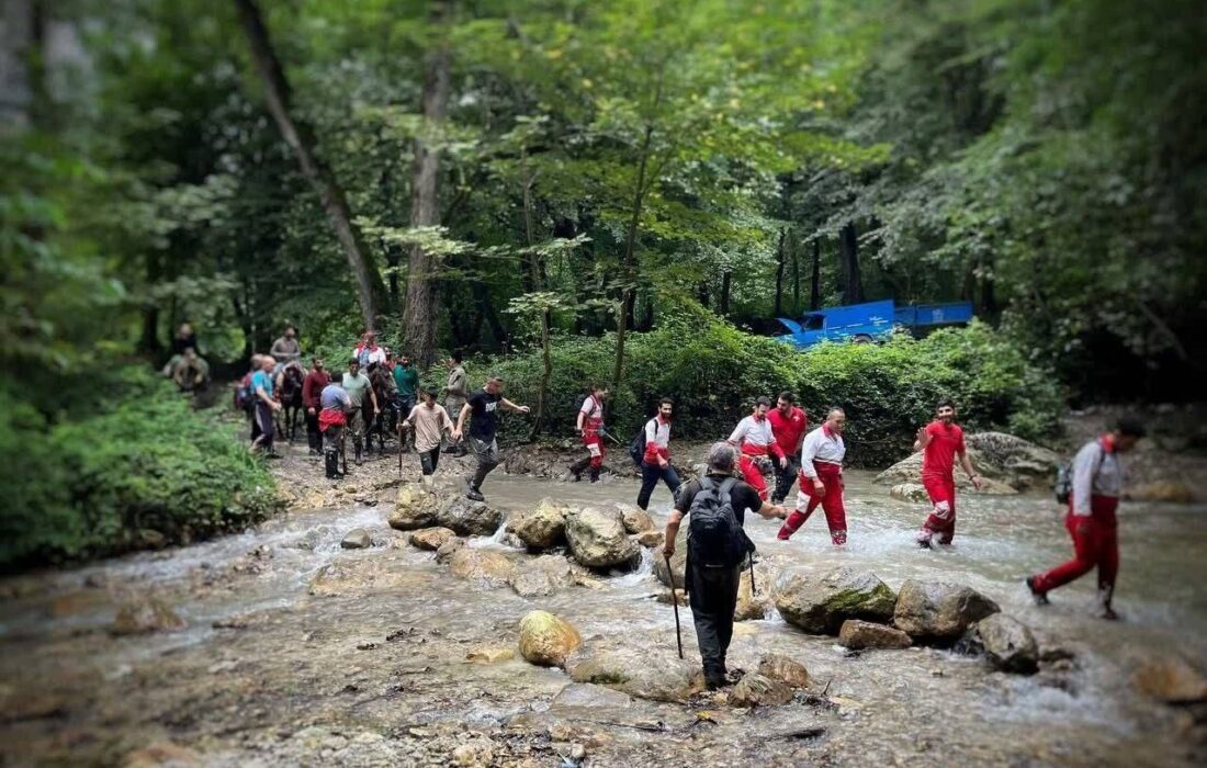 پیدا شدن مرد گمشده در جنگل‌های قُلقُلی بندرگز پس از جستجو