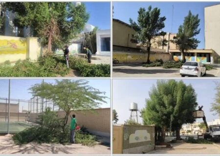 آغاز طرح هرس و پاکسازی فضای سبز مدارس در بوشهر